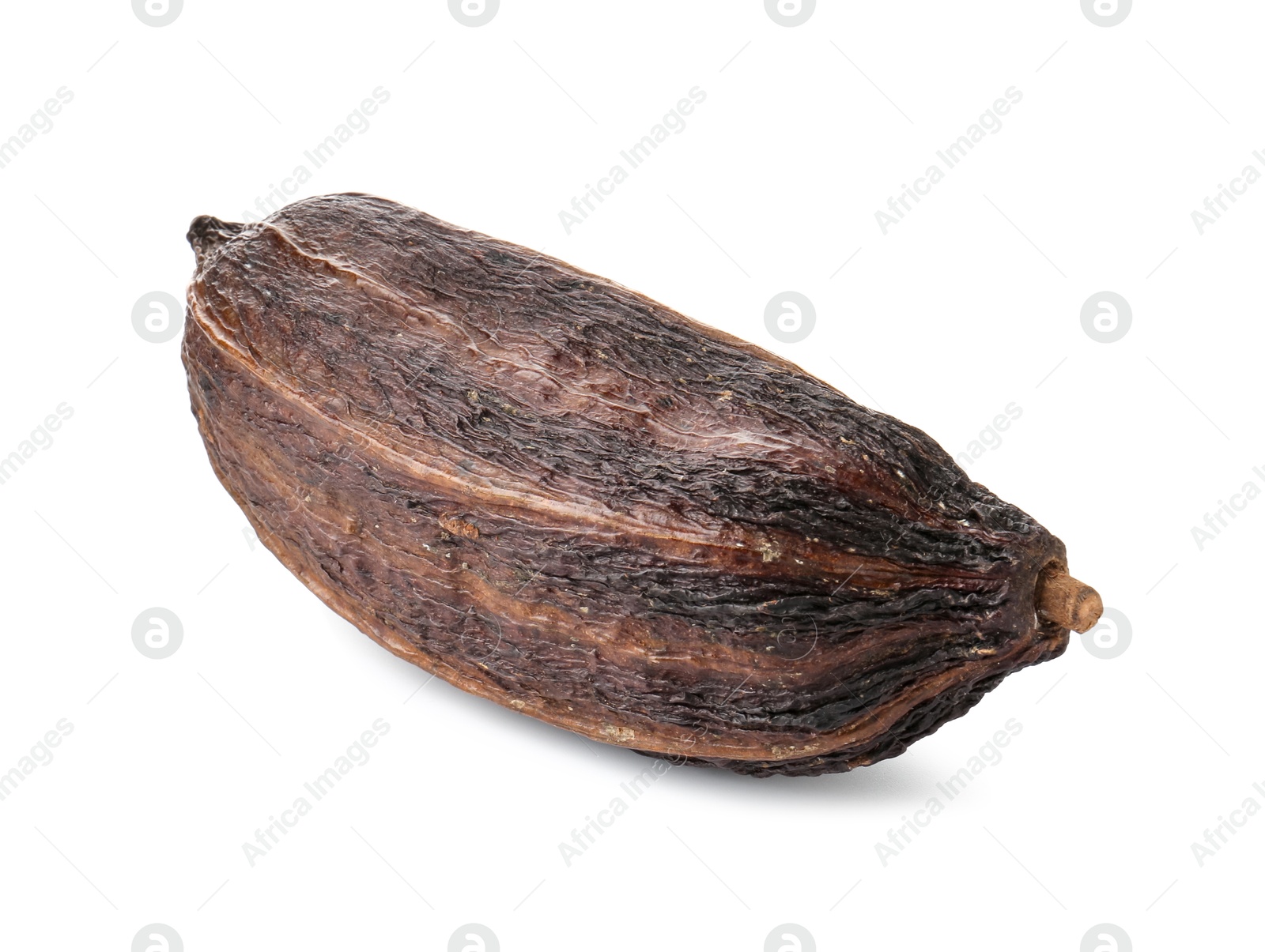 Photo of Whole tropical cocoa pod isolated on white