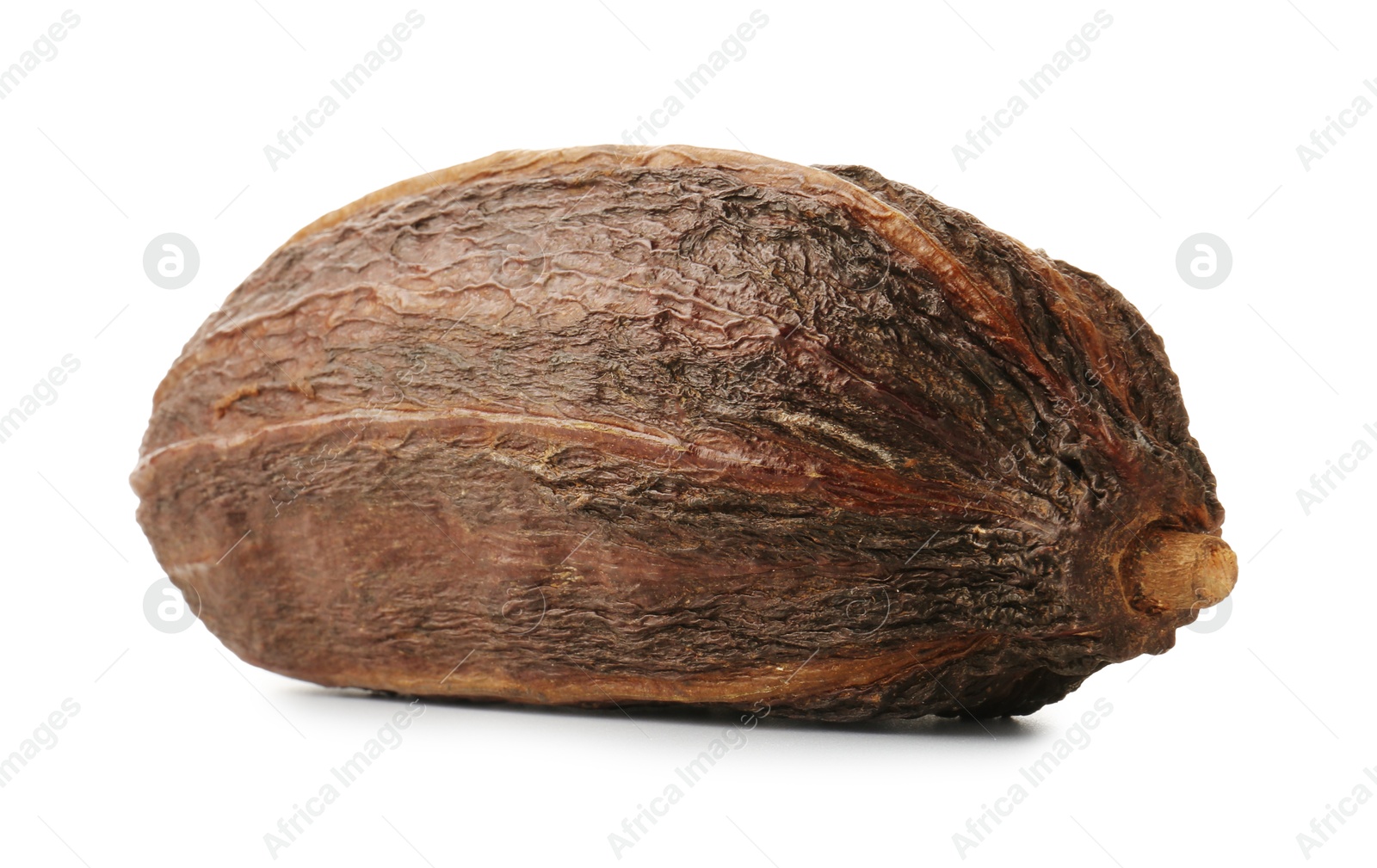 Photo of Whole tropical cocoa pod isolated on white