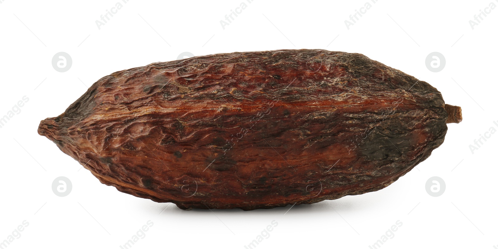 Photo of Whole tropical cocoa pod isolated on white