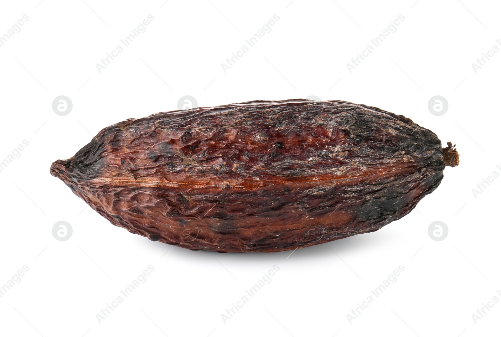 Photo of Whole tropical cocoa pod isolated on white