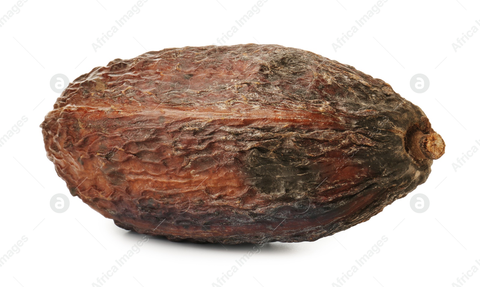 Photo of Whole tropical cocoa pod isolated on white