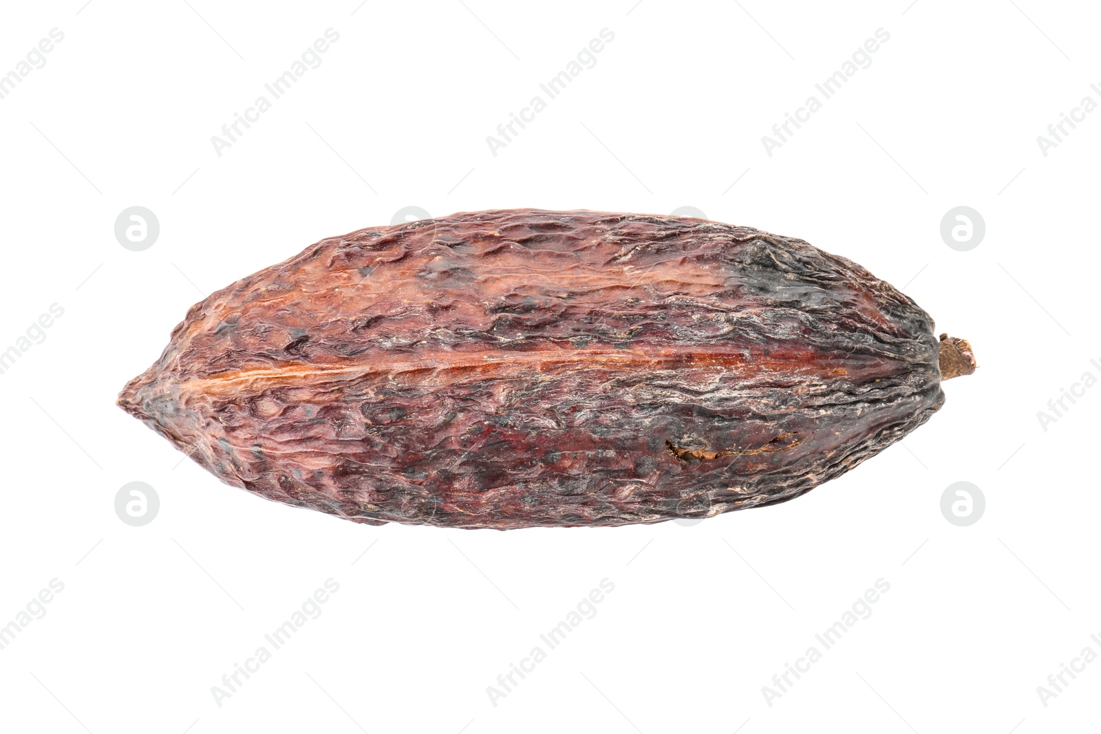 Photo of Cocoa pod isolated on white, top view