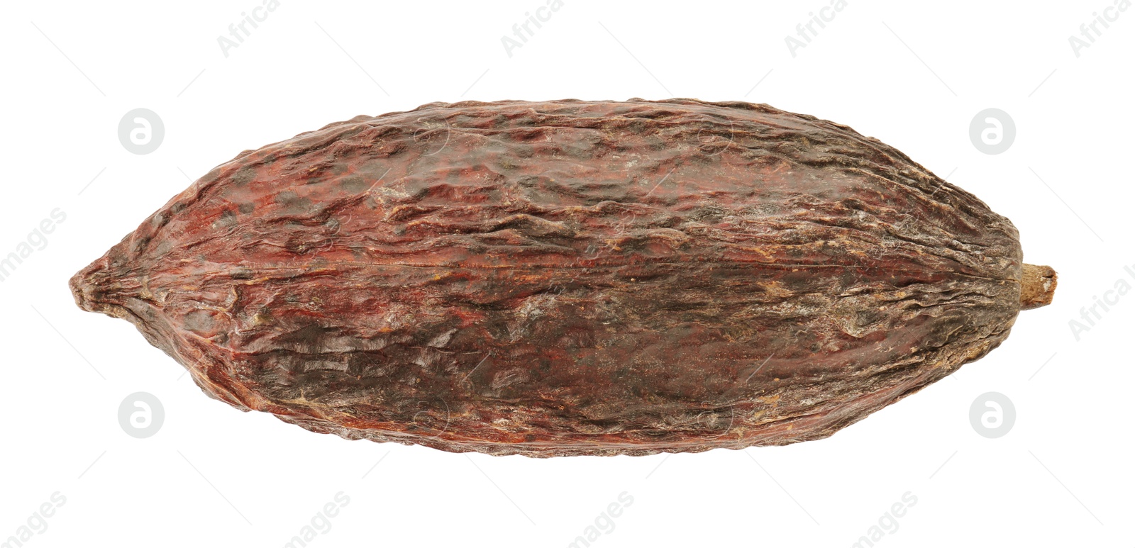 Photo of Cocoa pod isolated on white, top view