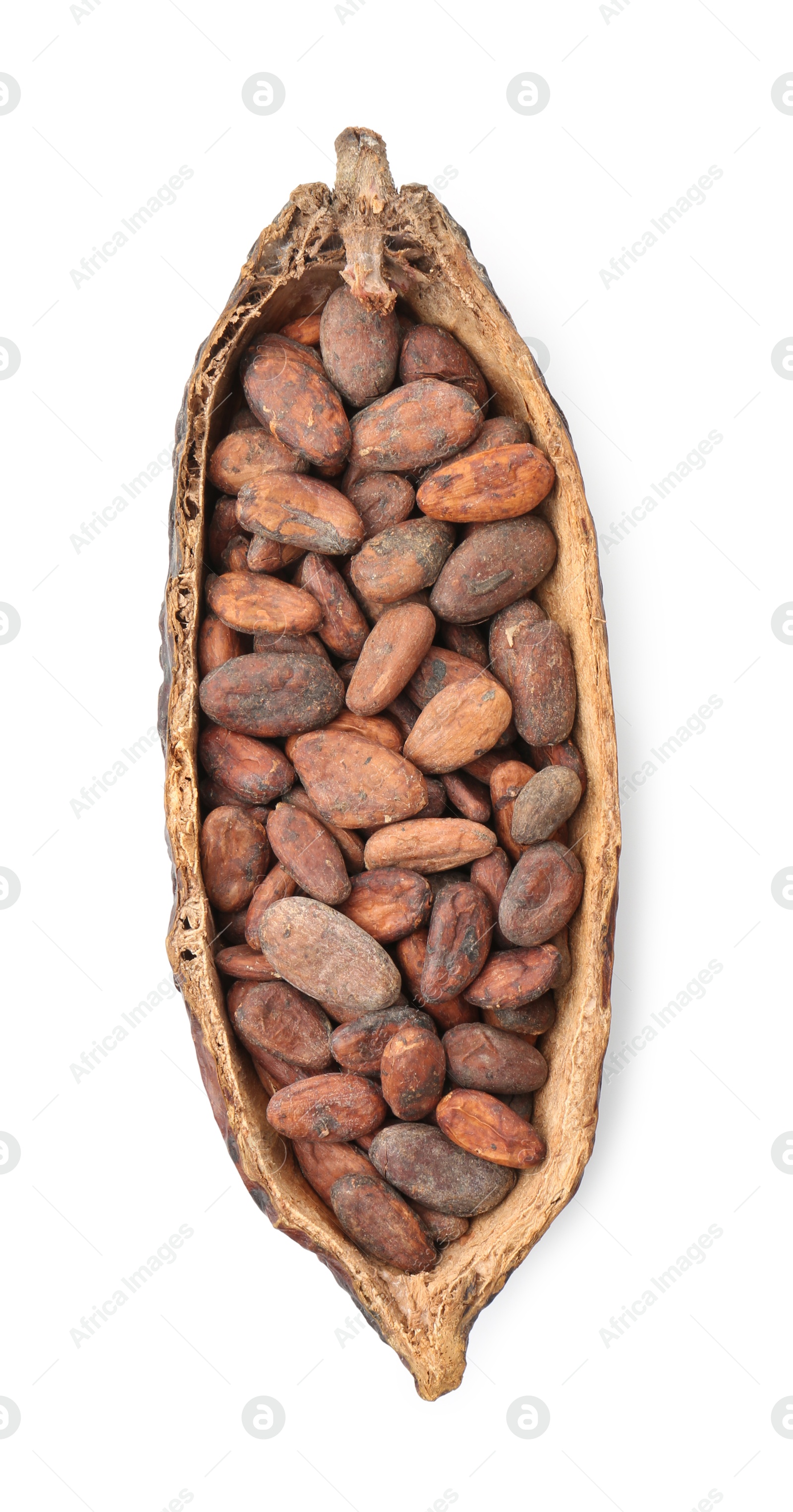 Photo of Cocoa pod with beans isolated on white, top view