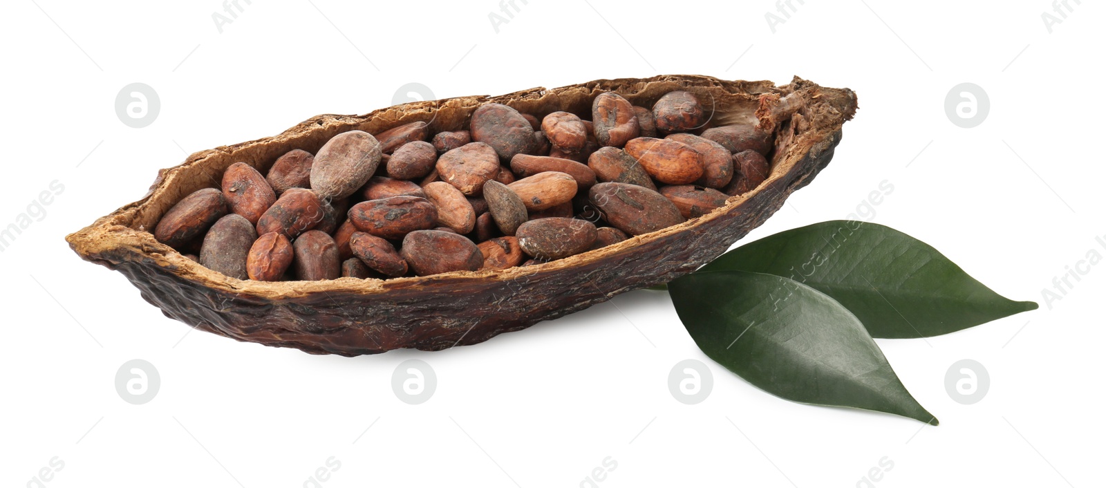 Photo of Cocoa pod with beans and leaves isolated on white