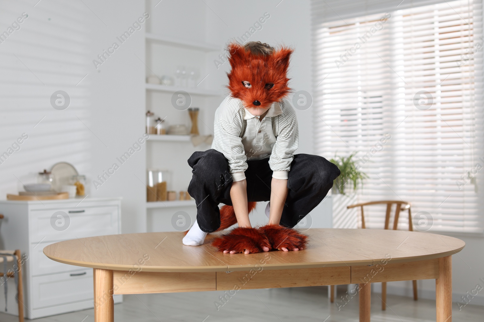 Photo of Quadrobics. Boy wearing fox mask, tail and gloves on table indoors