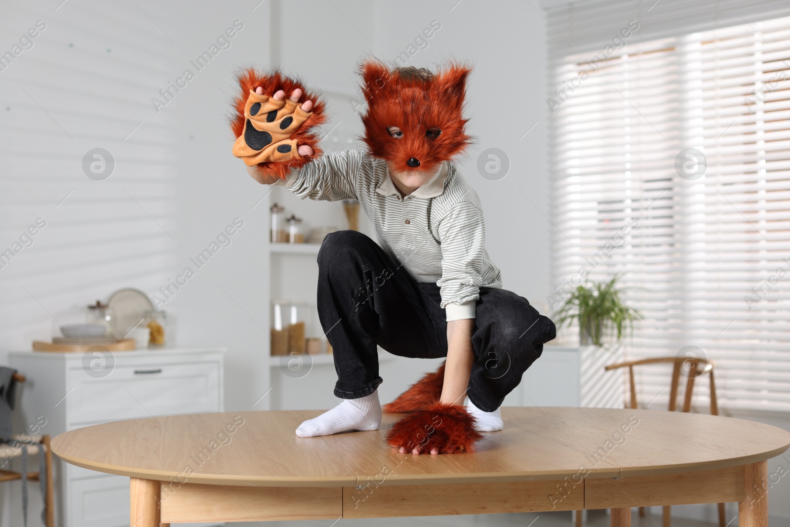 Photo of Quadrobics. Boy wearing fox mask, tail and gloves on table indoors