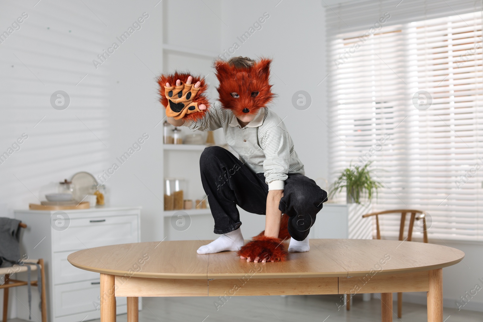 Photo of Quadrobics. Boy wearing fox mask and gloves on table indoors