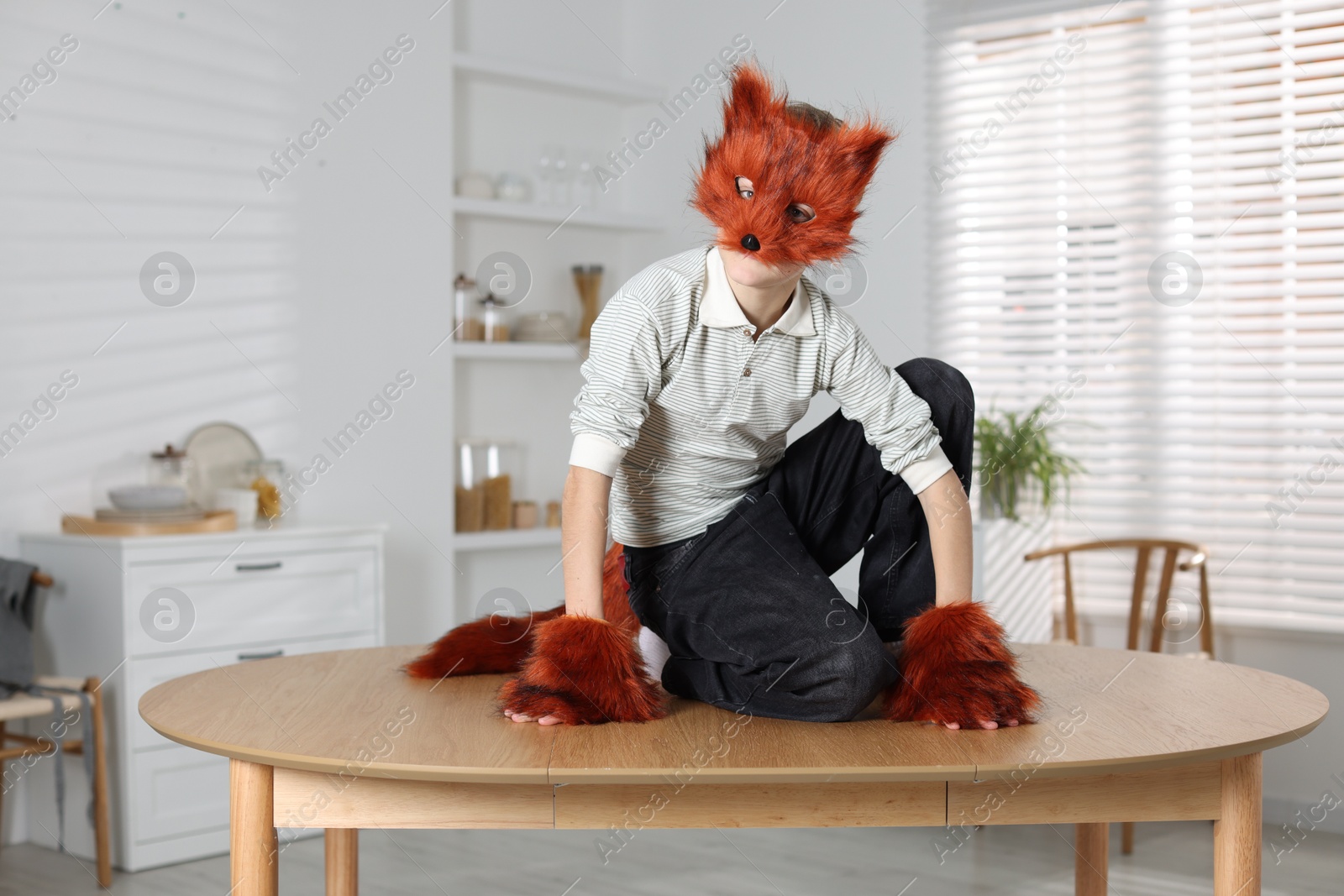 Photo of Quadrobics. Boy wearing fox mask, tail and gloves on table indoors