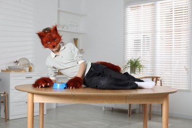 Photo of Quadrobics. Boy wearing fox mask, tail and gloves with feeding bowl on table indoors