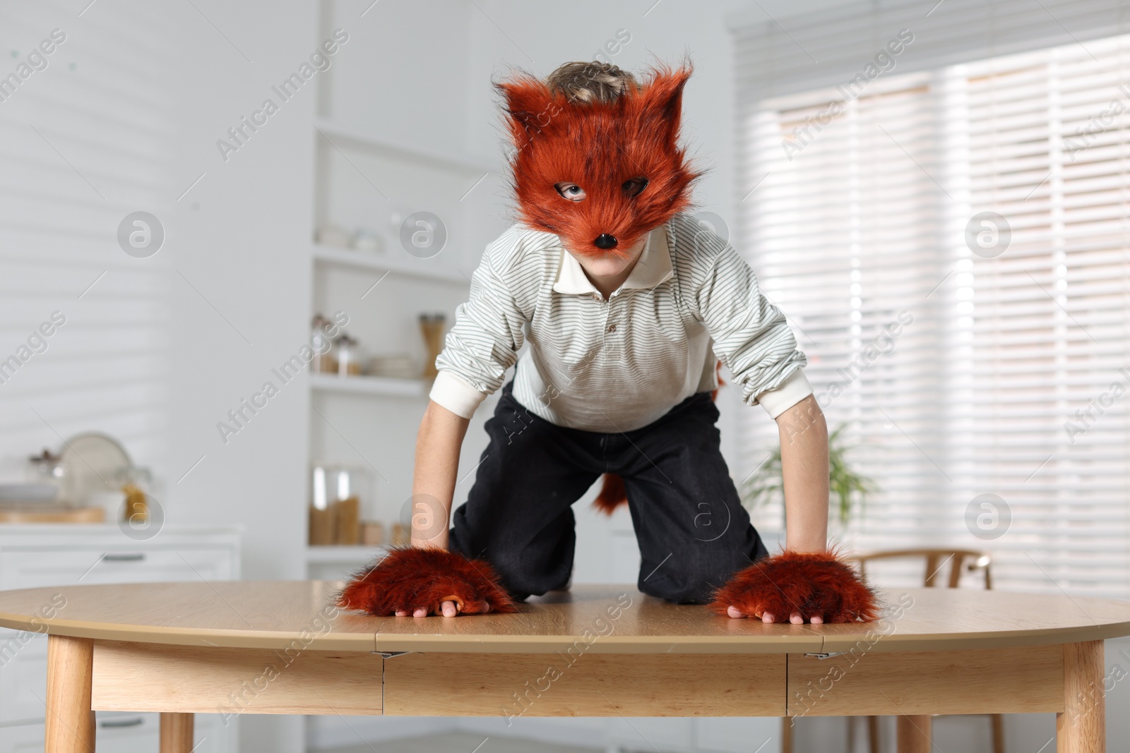 Photo of Quadrobics. Boy wearing fox mask and gloves on table indoors