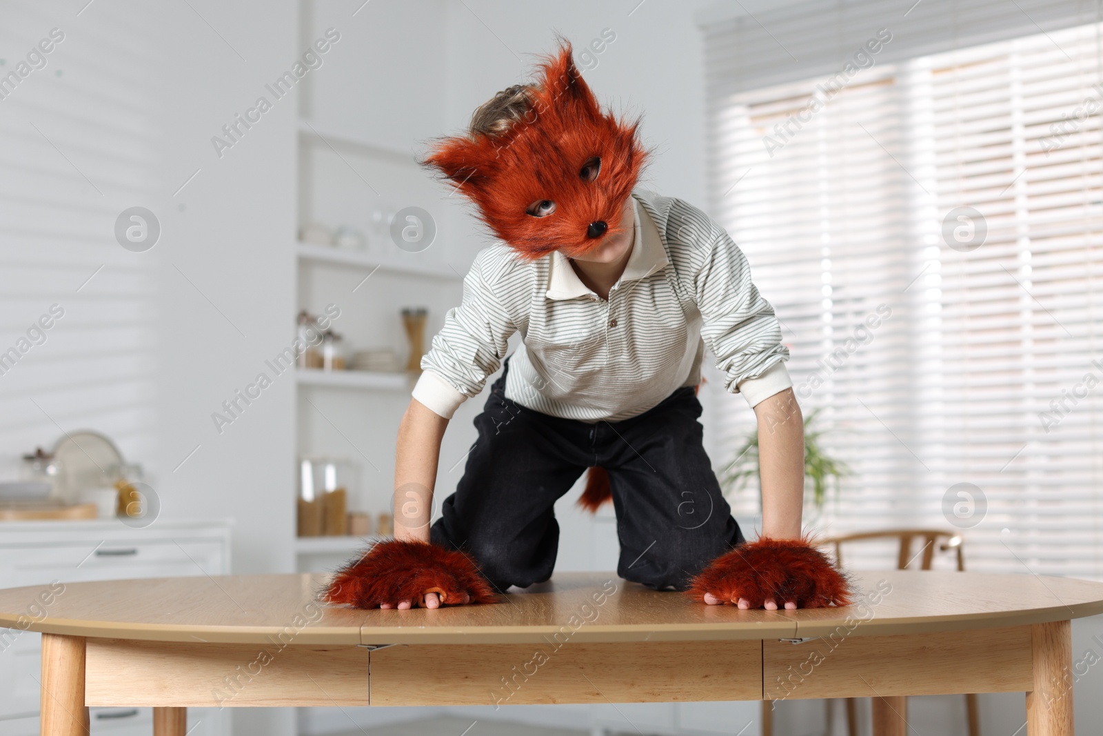 Photo of Quadrobics. Boy wearing fox mask and gloves on table indoors