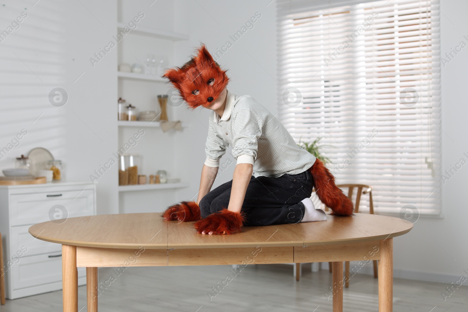 Photo of Quadrobics. Boy wearing fox mask, tail and gloves on table indoors