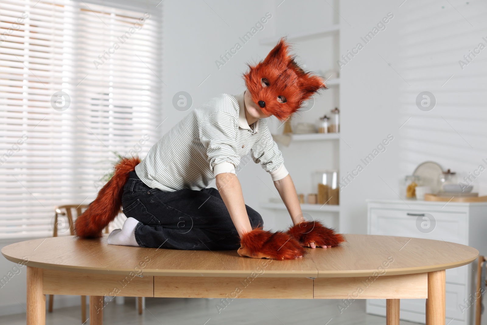 Photo of Quadrobics. Boy wearing fox mask, tail and gloves on table indoors