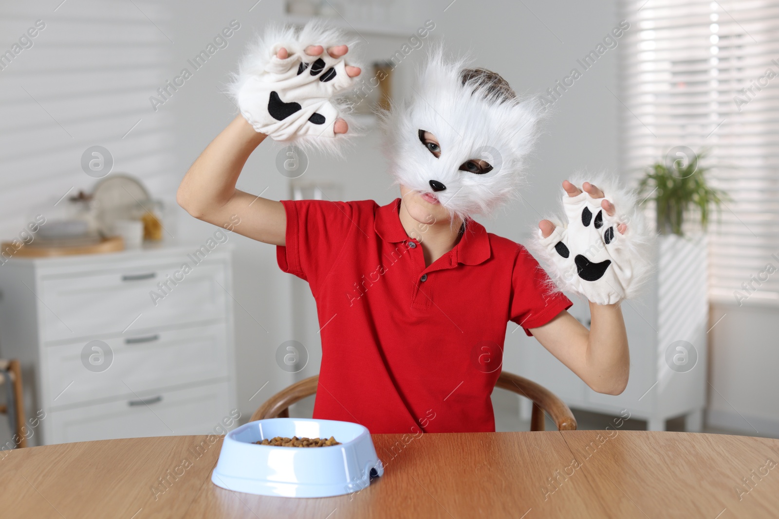 Photo of Quadrobics. Boy wearing cat mask and gloves with feeding bowl at table indoors