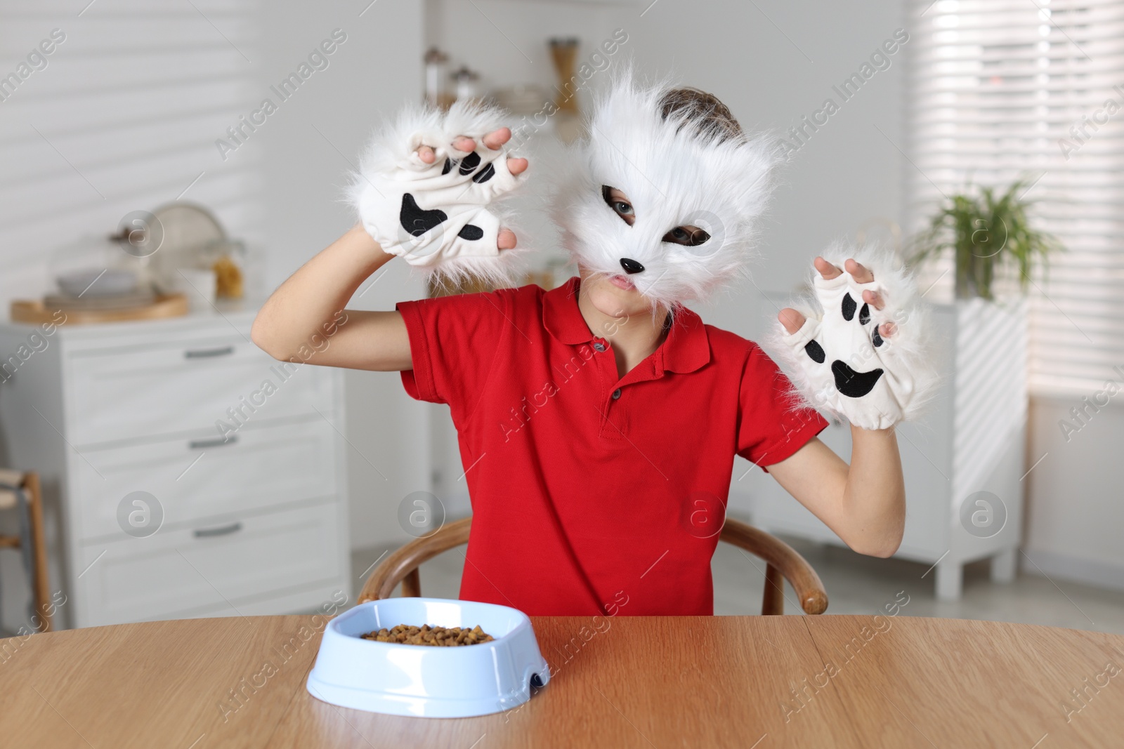 Photo of Quadrobics. Boy wearing cat mask and gloves with feeding bowl at table indoors