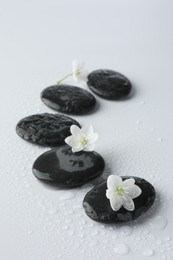 Photo of Wet spa stones and beautiful flowers on white background, closeup