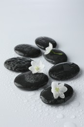 Photo of Wet spa stones and beautiful flowers on white background, closeup