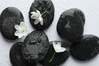 Photo of Wet spa stones and beautiful flowers on white background, flat lay