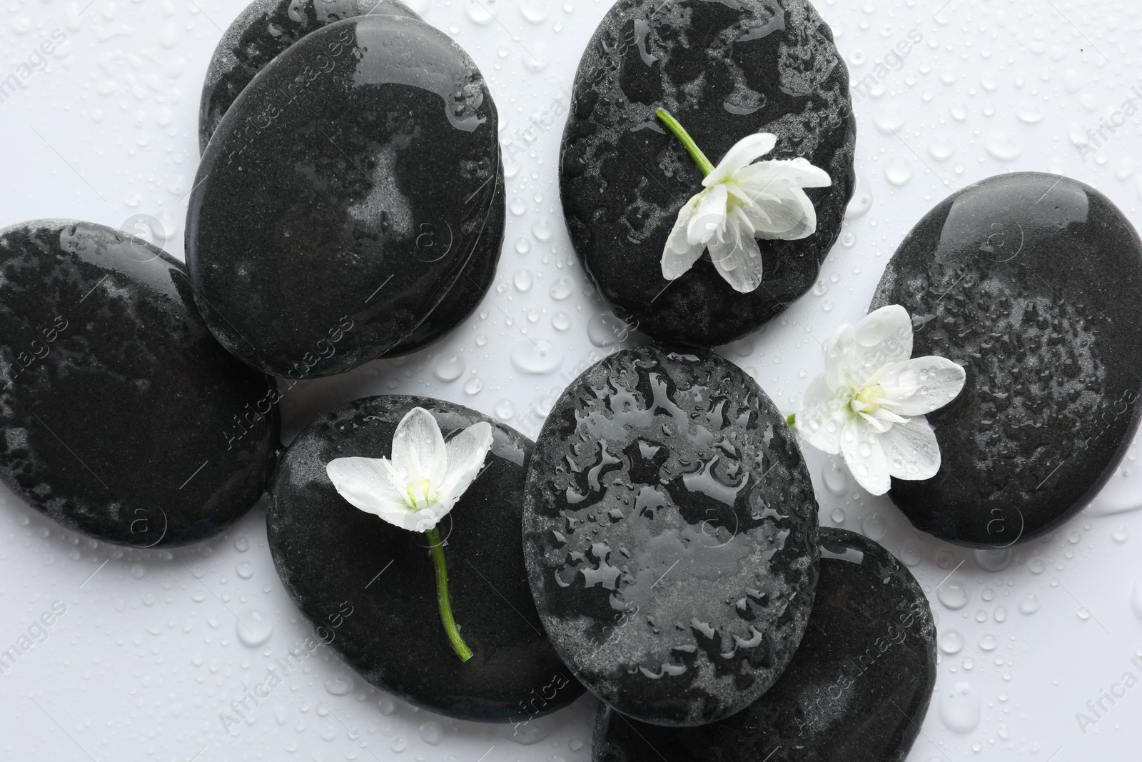 Photo of Wet spa stones and beautiful flowers on white background, flat lay