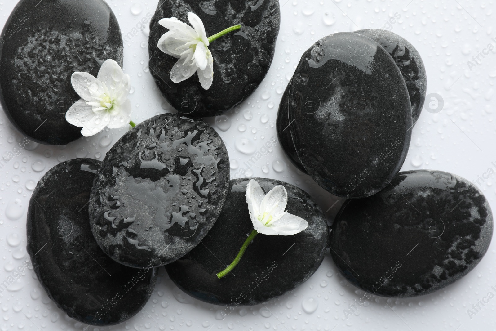 Photo of Wet spa stones and beautiful flowers on white background, flat lay