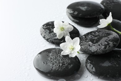 Photo of Wet spa stones and beautiful flowers on white background, closeup. Space for text