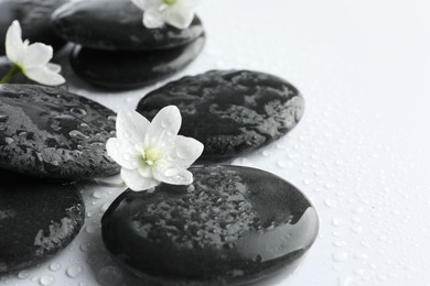 Wet spa stones and beautiful flowers on white background, closeup. Space for text