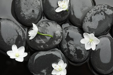 Spa stones and flowers on water surface, flat lay