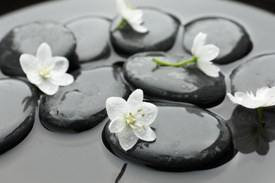 Photo of Spa stones and flowers in water, closeup