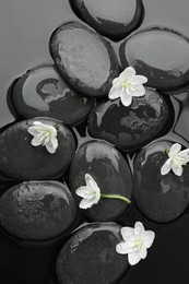 Photo of Spa stones and flowers on water surface, flat lay