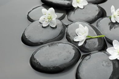 Photo of Spa stones and flowers in water, closeup