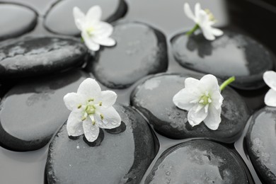 Photo of Spa stones and flowers in water, closeup