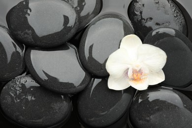 Photo of Spa stones and orchid flower on water surface, top view