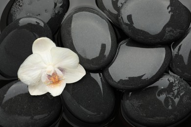 Photo of Spa stones and orchid flower on water surface, top view