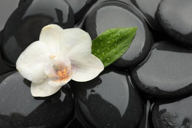 Photo of Spa stones and orchid flower on water surface, top view