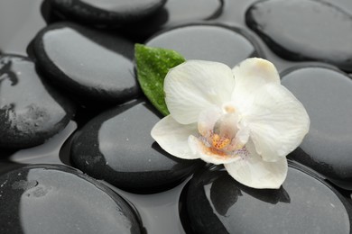 Photo of Spa stones and orchid flower in water, closeup