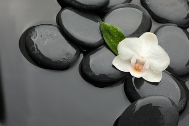 Photo of Spa stones and orchid flower on water surface, flat lay. Space for text