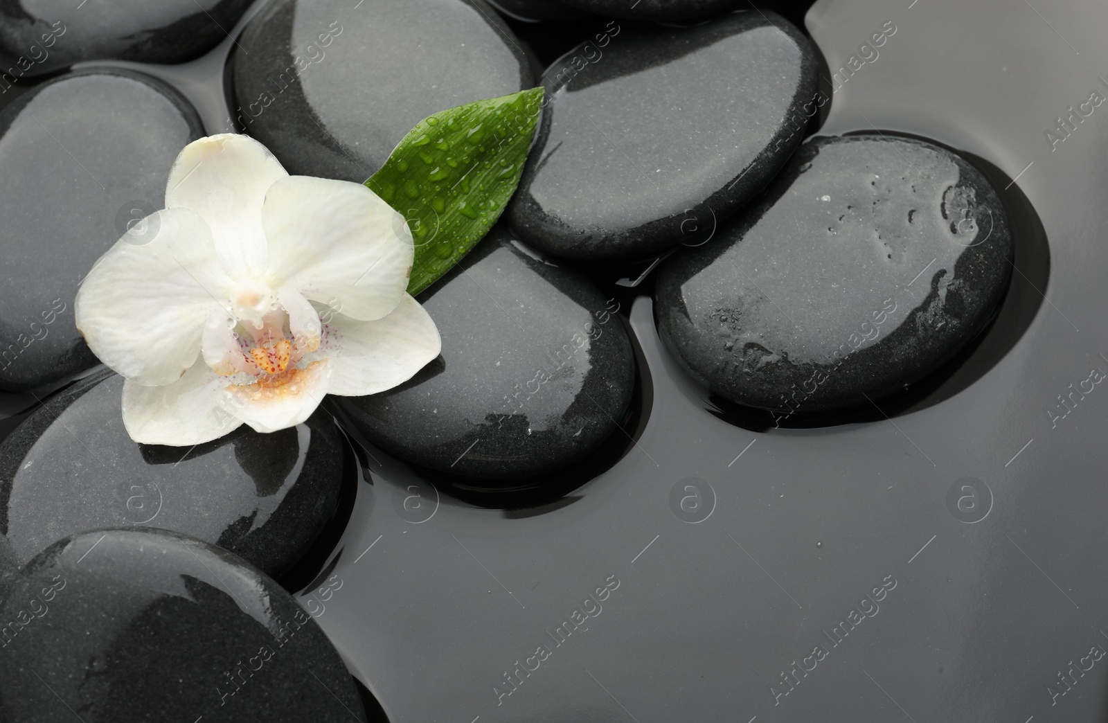 Photo of Spa stones and orchid flower on water surface, flat lay. Space for text