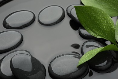 Photo of Frame of spa stones and green leaves in water, closeup