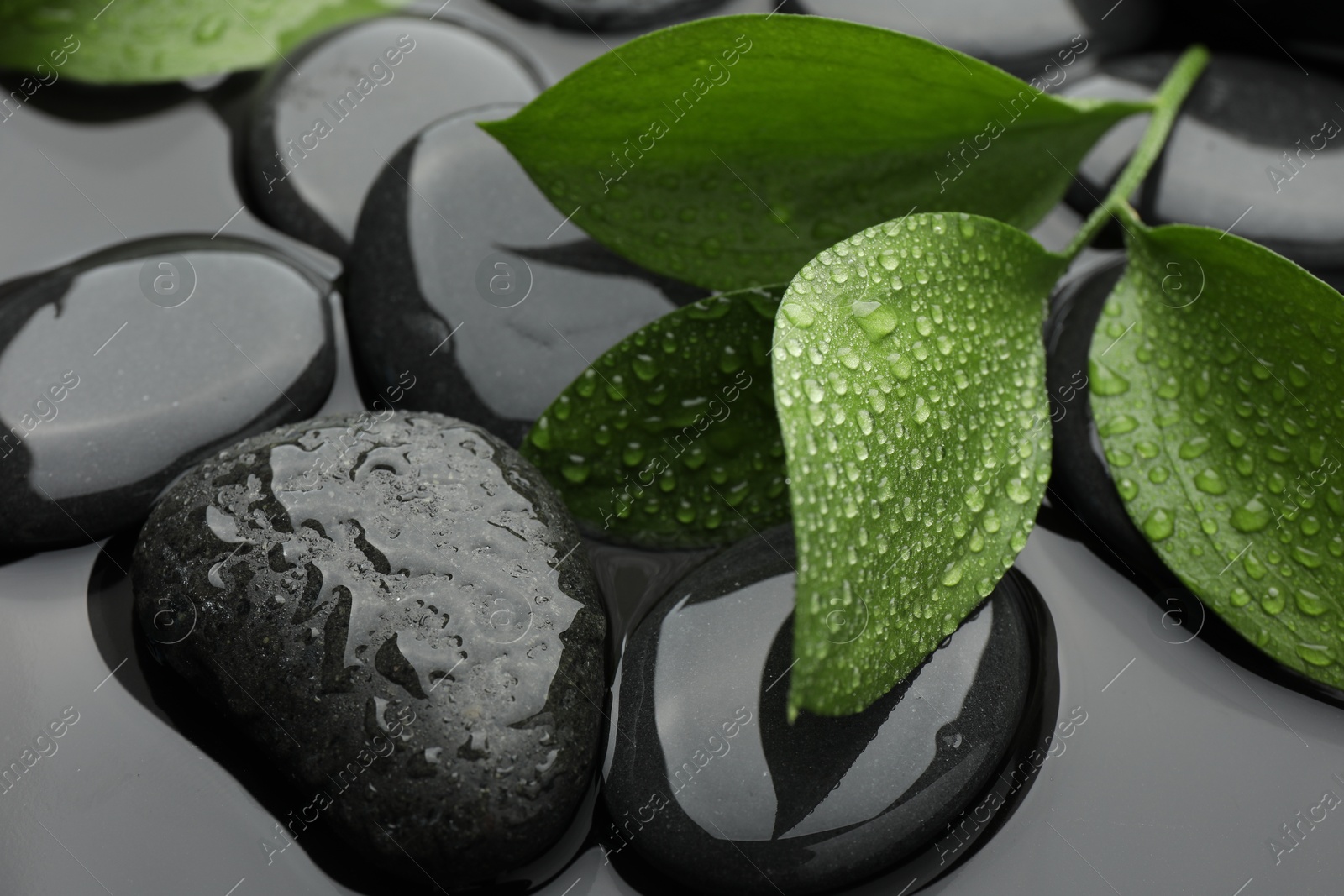 Photo of Spa stones and green leaves in water, closeup