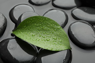 Photo of Spa stones and green leaf in water, closeup