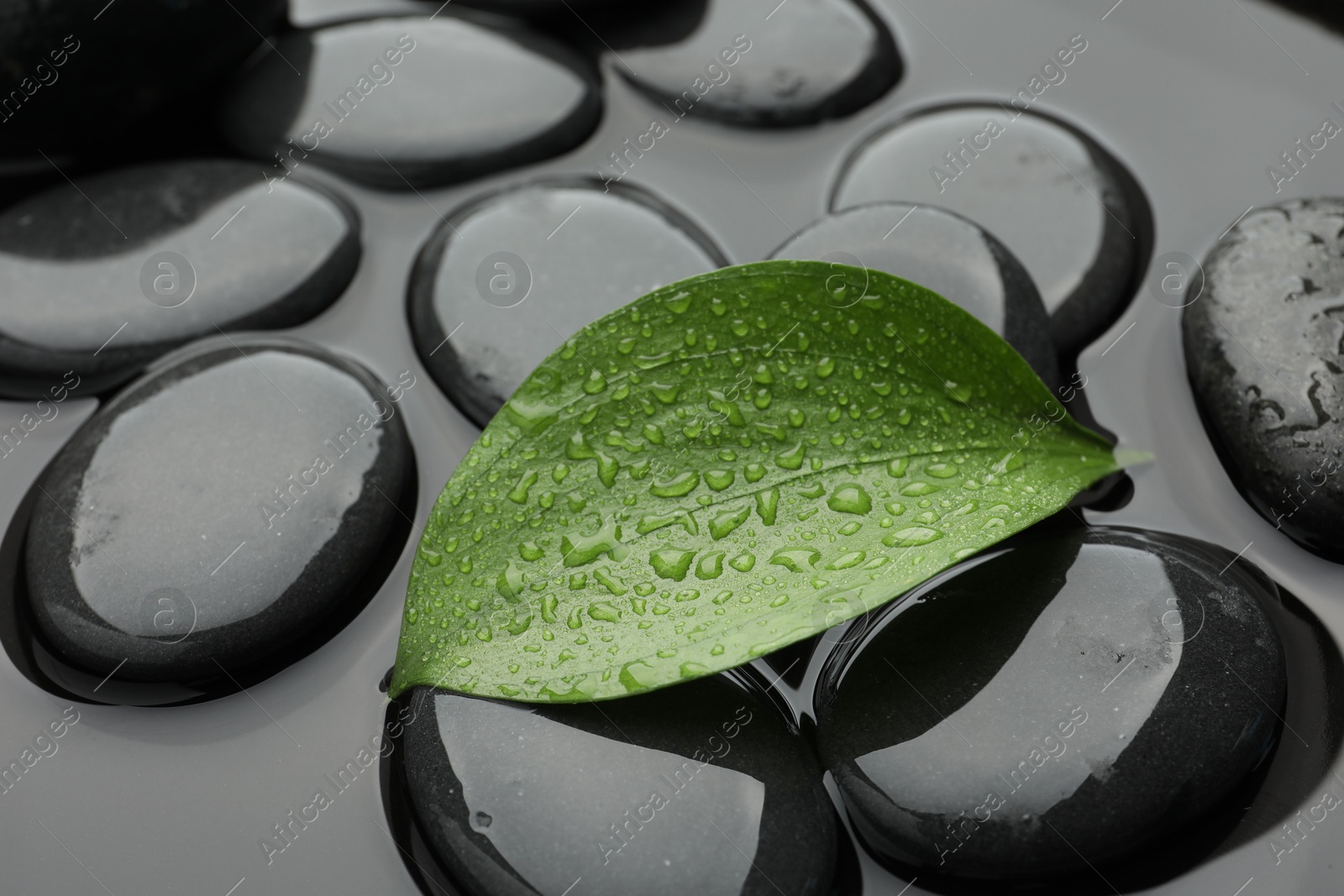 Photo of Spa stones and green leaf in water, closeup