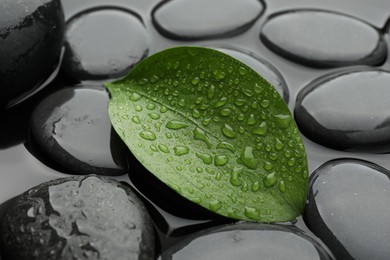 Photo of Spa stones and green leaf in water, closeup