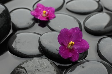 Photo of Spa stones and flowers in water, closeup