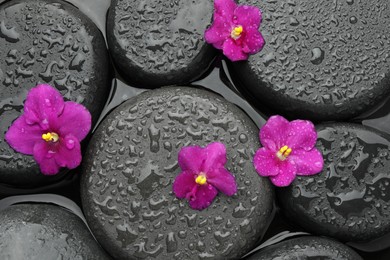 Photo of Spa stones and flowers on water surface, top view