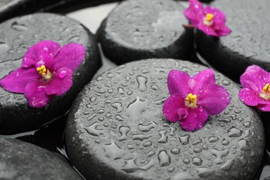 Photo of Spa stones and flowers in water, closeup