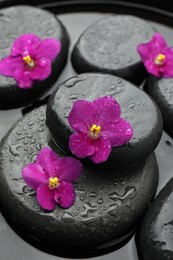 Photo of Spa stones and flowers in water, closeup