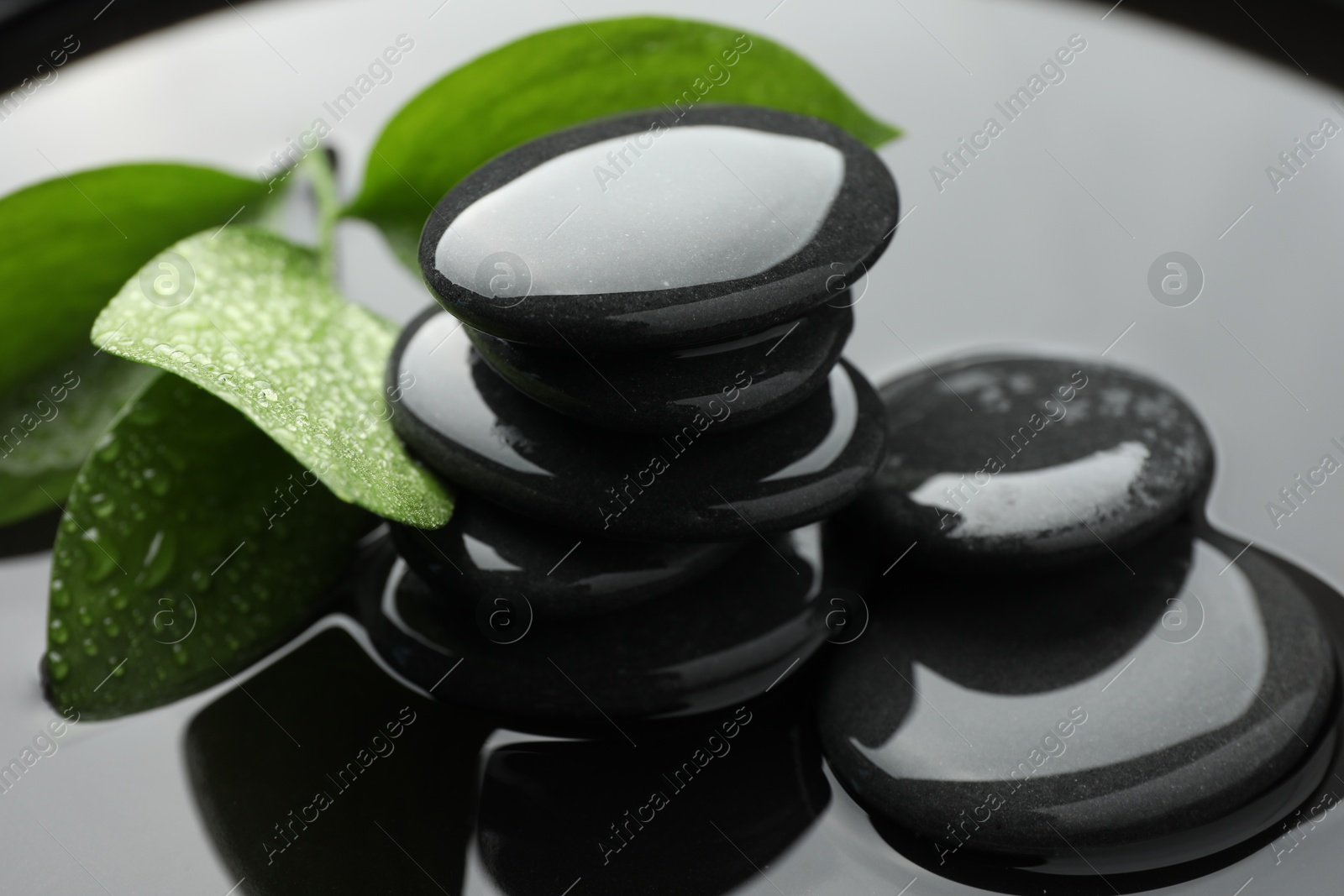 Photo of Spa stones and green leaves in water, closeup