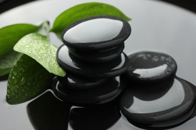 Photo of Spa stones and green leaves in water, closeup