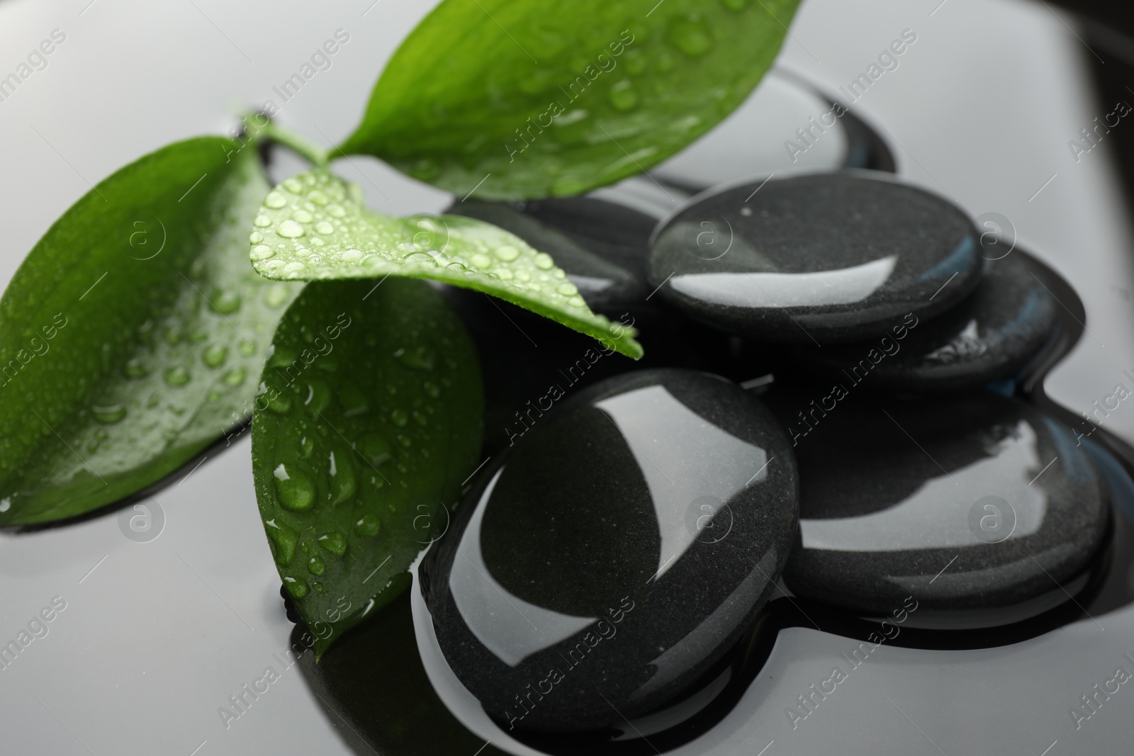 Photo of Spa stones and green leaves in water, closeup